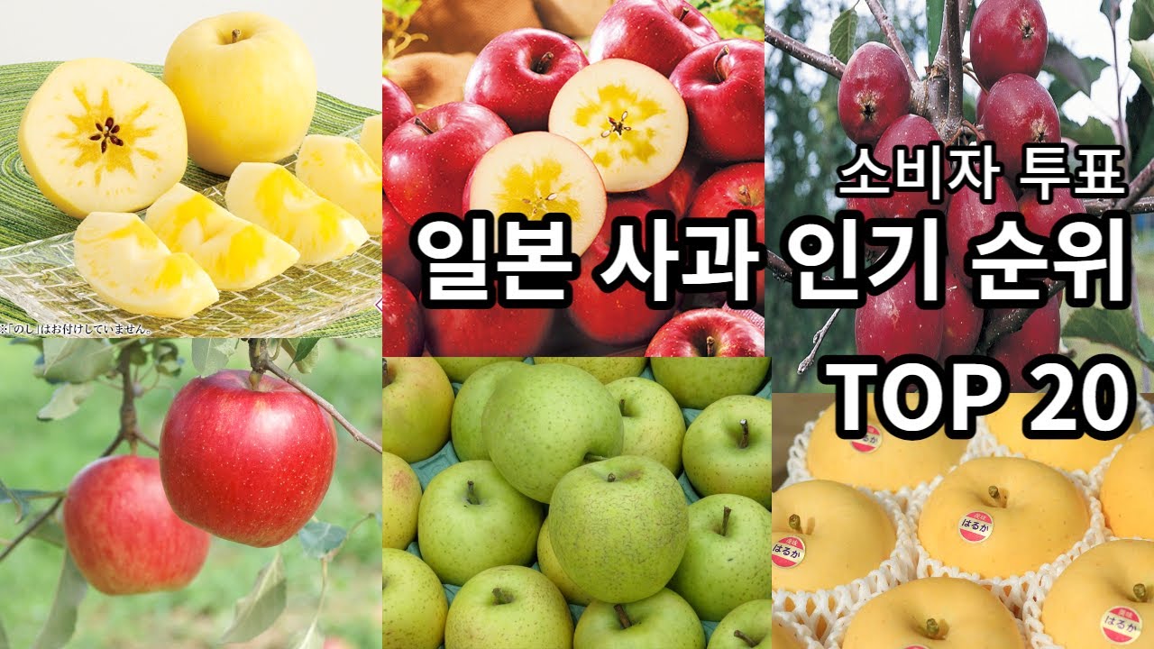 일본 사과 인기 순위 TOP20