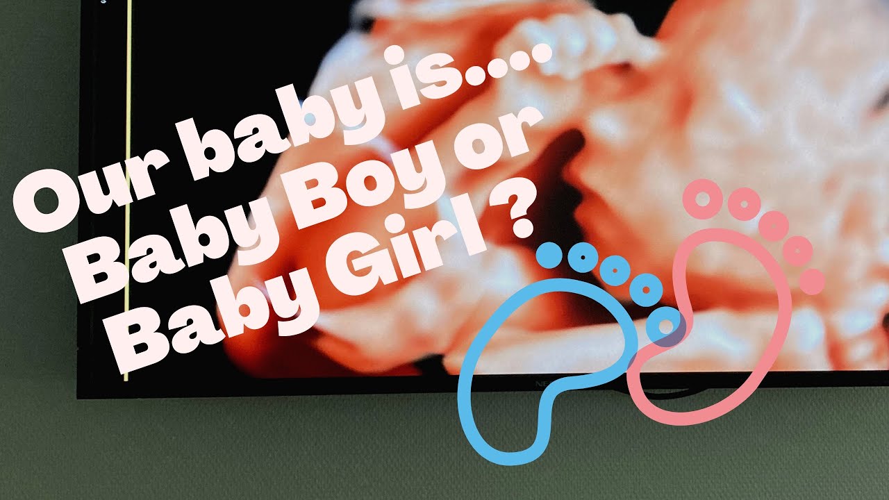Gender reveal | baby | Lesbian couple Vlog | The Schoenberg family