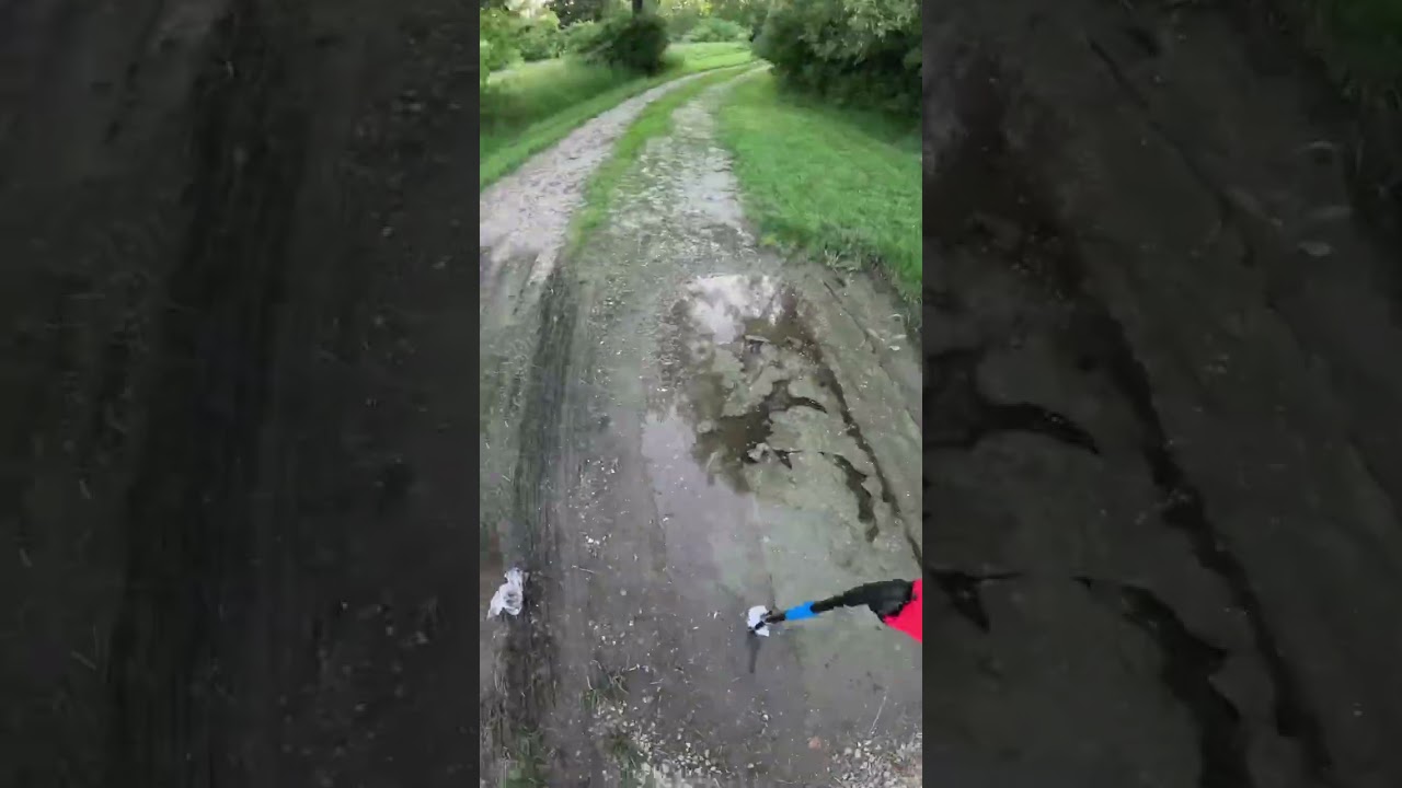 logtrees.com - ♻️ Proof of Trashtagging 7 #trash #trashtag #environment #satisfying #clean #logtrees