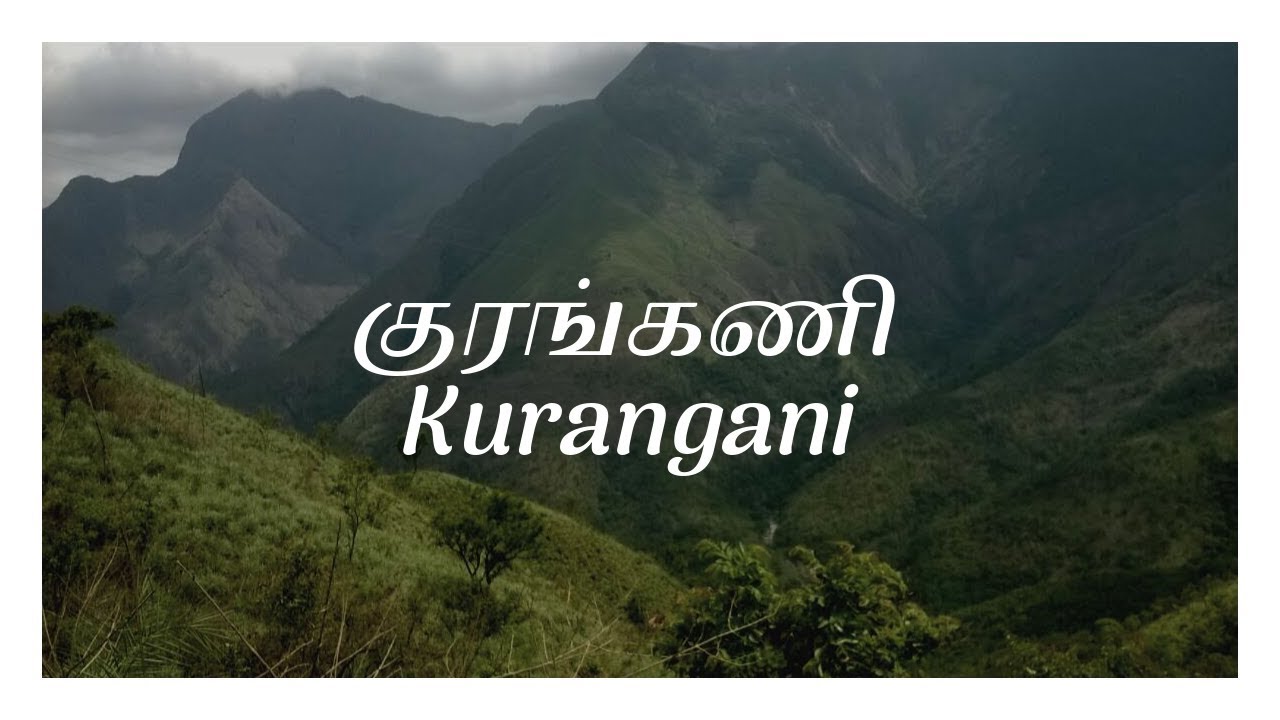 குரங்கணி - Kurangani hill station | Bodi - Kurangani - Top Station | Trekking to Top Station