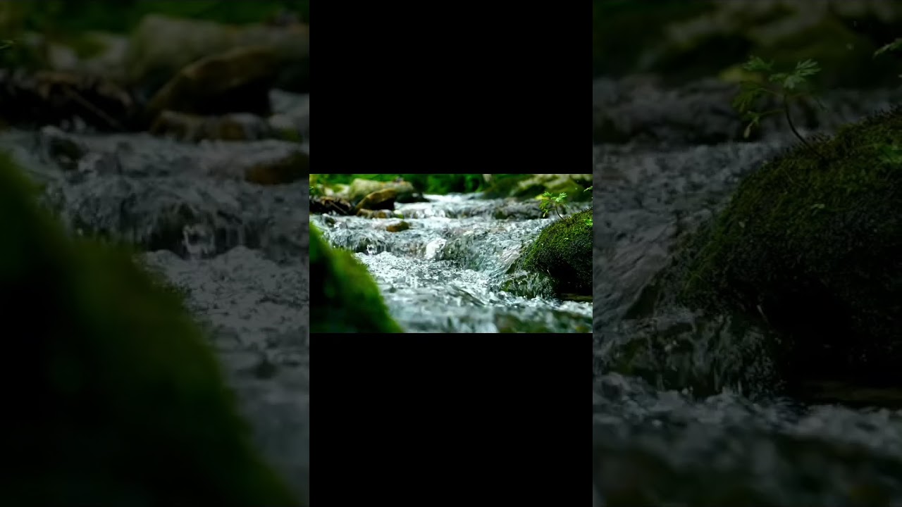 Meditația pentru picioare grele,umflate . Maria Motea Hypnotherapeut