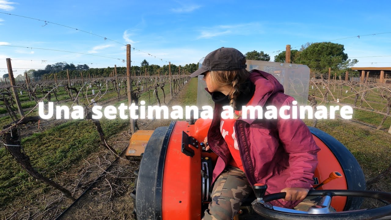 Tipica settimana con il TRINCIA RAMI