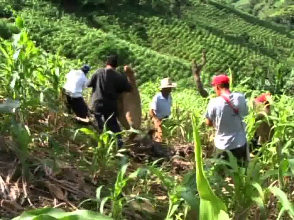 Defender la Tierra. La Reforma Agraria en el Salvador: una historia inacabada (1 de 3)