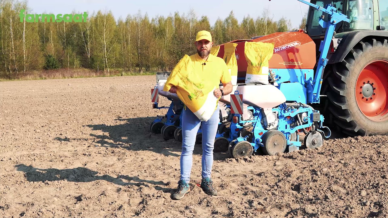 Mieszanka kukurydzy i fasoli tycznej farmsaat