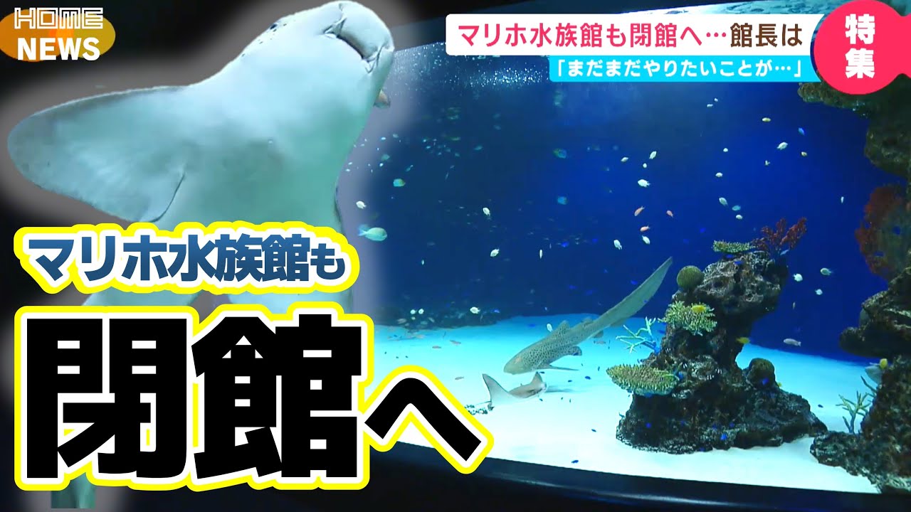 【魚たちはどこへ…】マリーナホップ”癒やしの水族館”も閉館へ