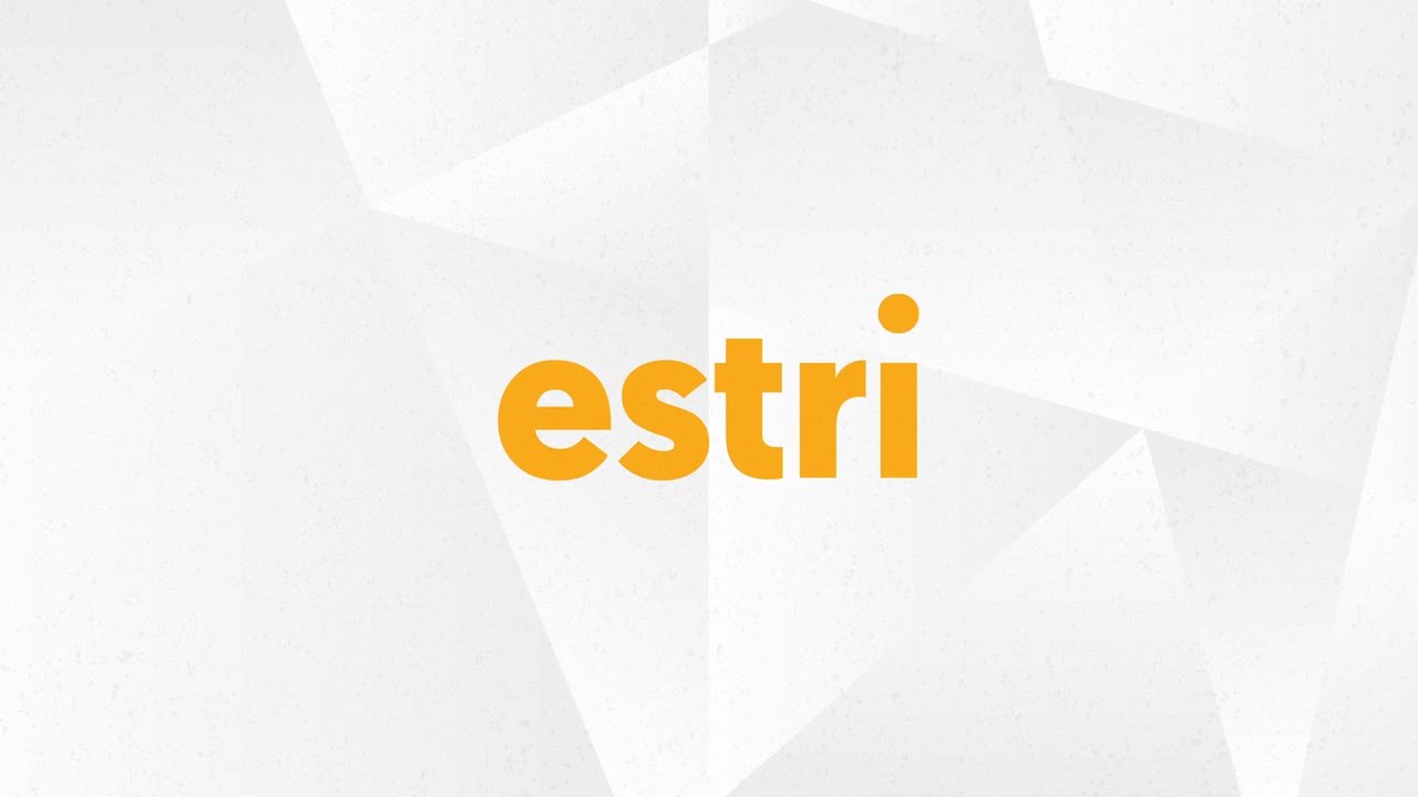 3min pour découvrir l'ESTRI - UCLy