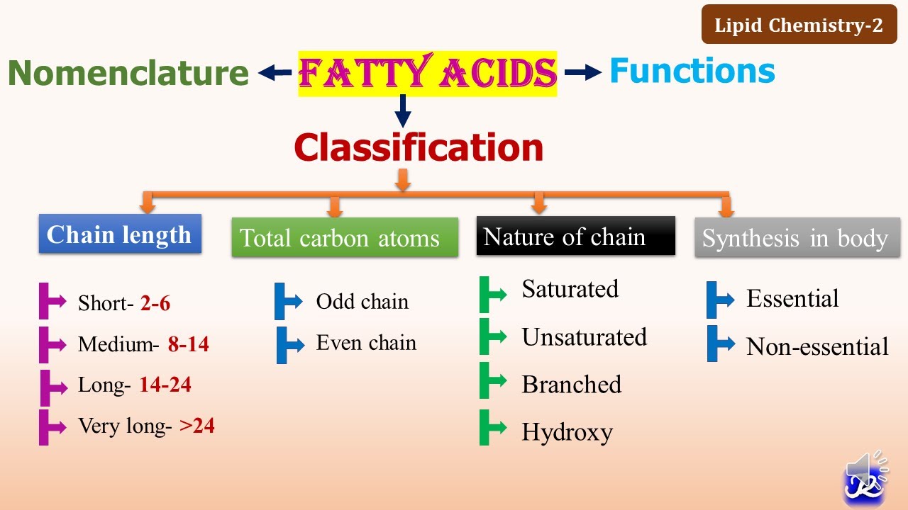 2: Fatty acids: Classification & Functions | Lipid Chemistry-2 | N'JOY Biochemistry