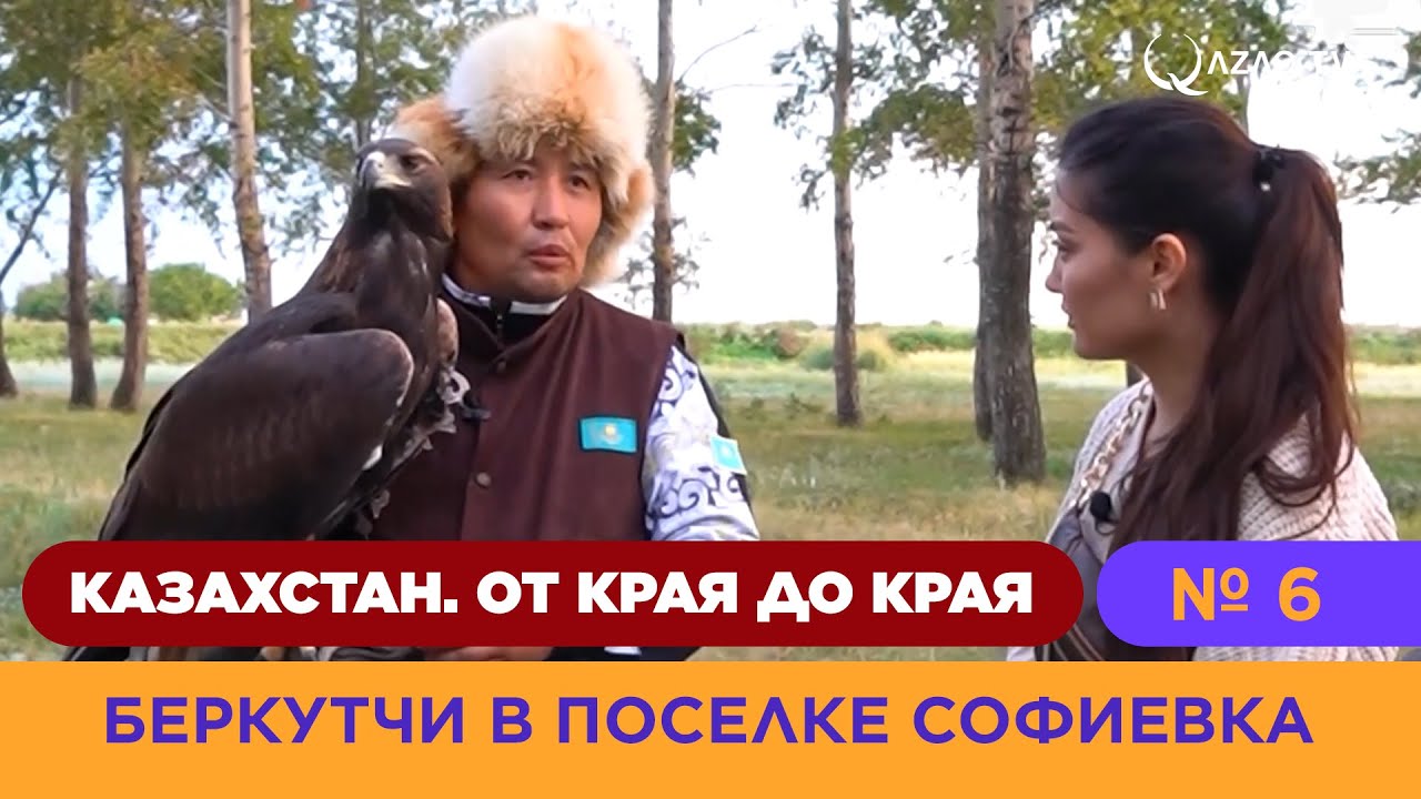 Беркутчи в поселке Софиевка