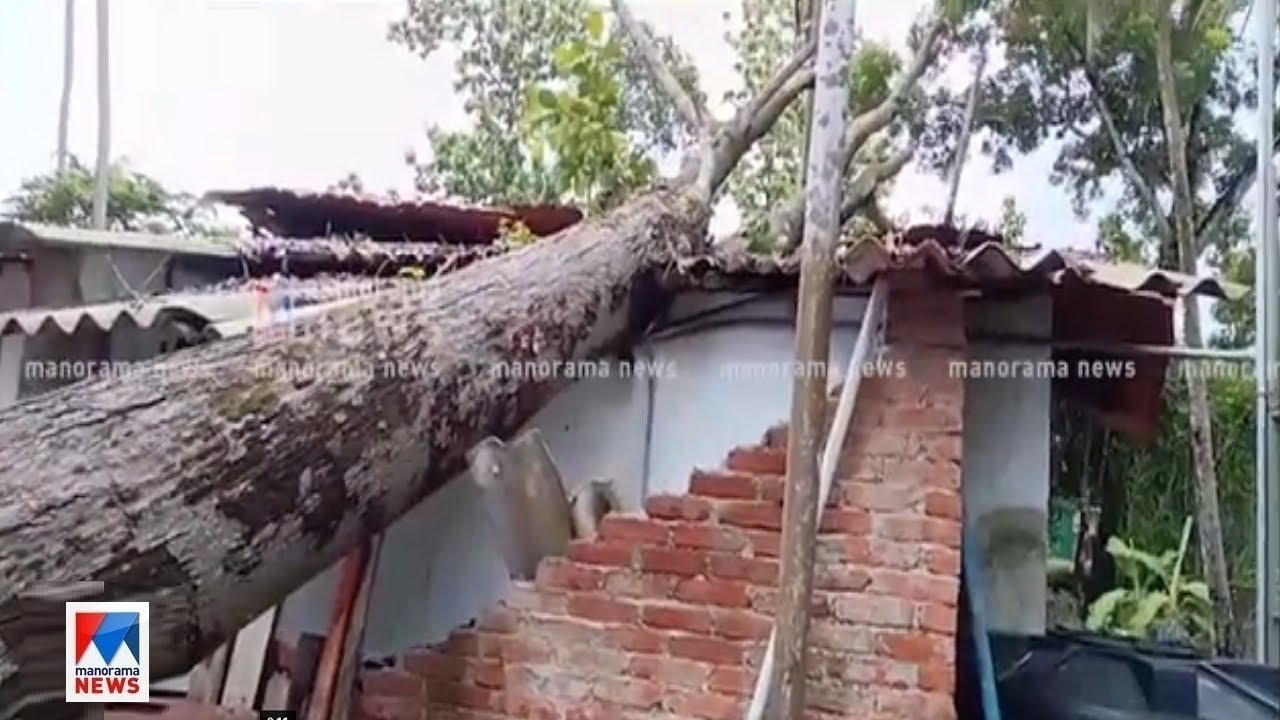 ആലപ്പുഴയിൽ മഴക്കെടുതികൾ തുടരുന്നു; 390 വീടുകൾ തകർന്നു | Alappuzha