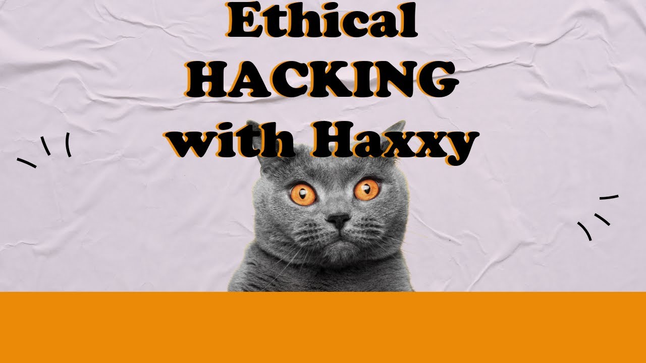 Haxxy the Hacker Cat Learns Ethical Hacking!