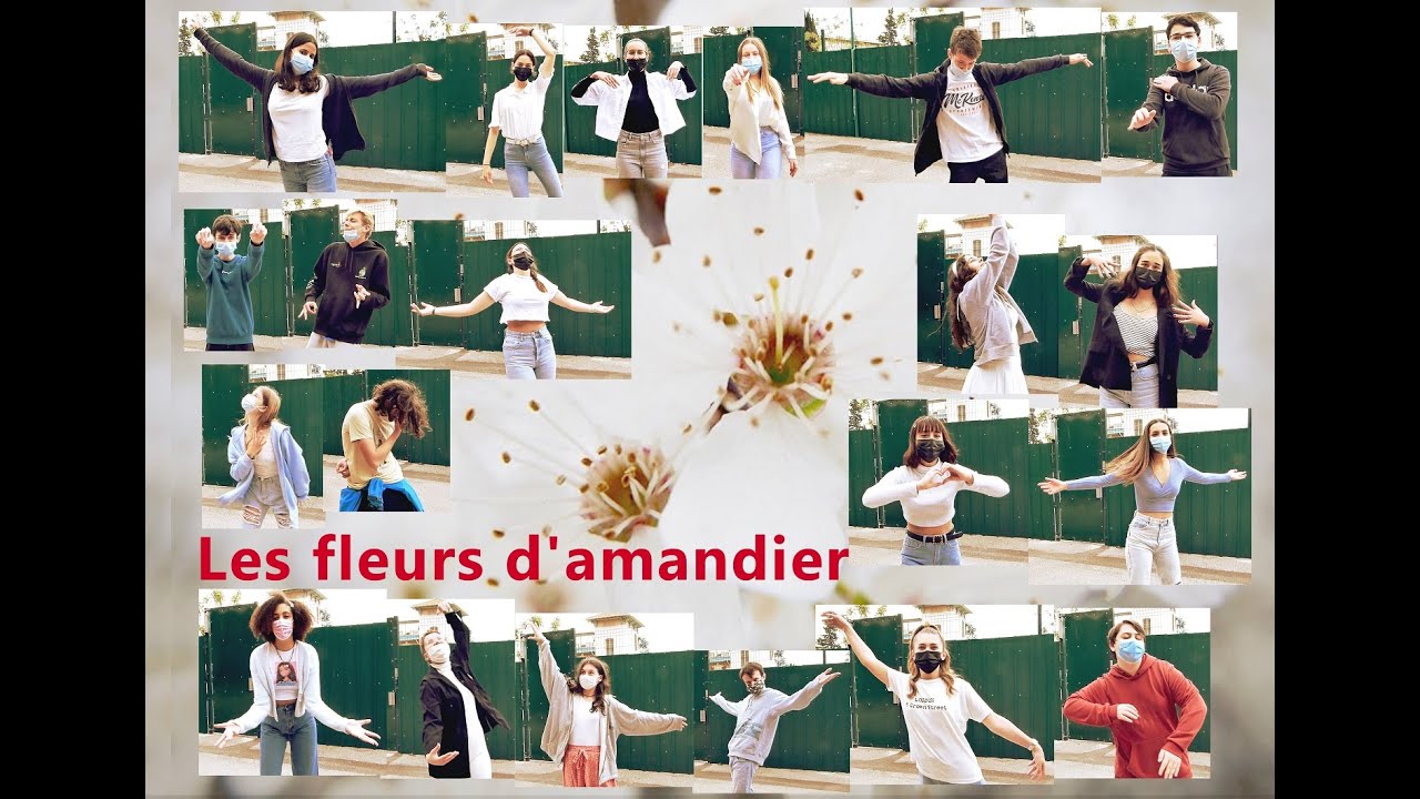 Les fleurs d'amandier - par les lycéens du Lycée du Parc Impérial à Nice (mai 2021)