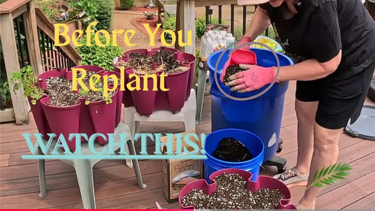 The Truth About Refreshing Container Soil 🌿