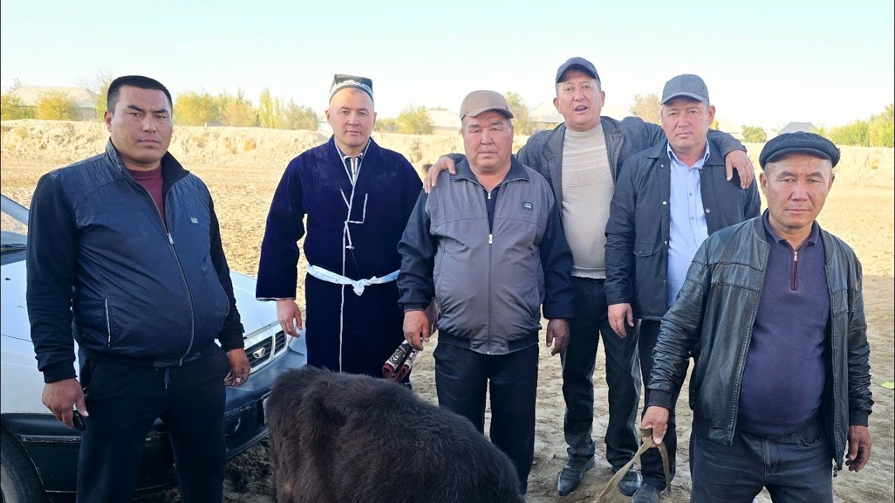 QASHQADARYO VILOYATI KO'KDALA TUMANI CHIYAL OQTUNLI QISHLOG'IDA KATTA KUPKARI BOSHLANDI 02.11.2024