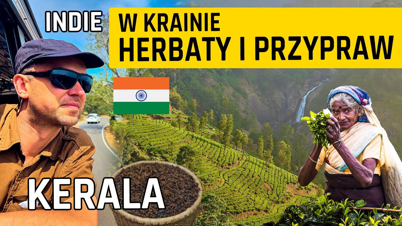 🇮🇳 Munnar: Czy indyjska kraina herbaty skrywa brudne sekrety? INDIE #02