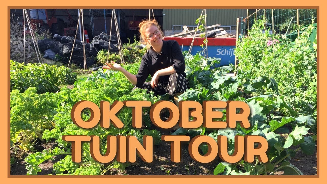 TUIN TOUR OKTOBER | de Herfst Moestuin | Radijzen, Peulen & Paprika's Oogsten