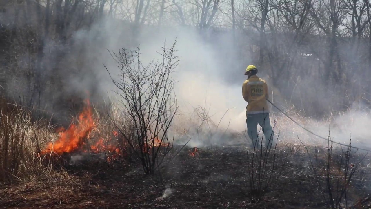 HMA Wildland Video
