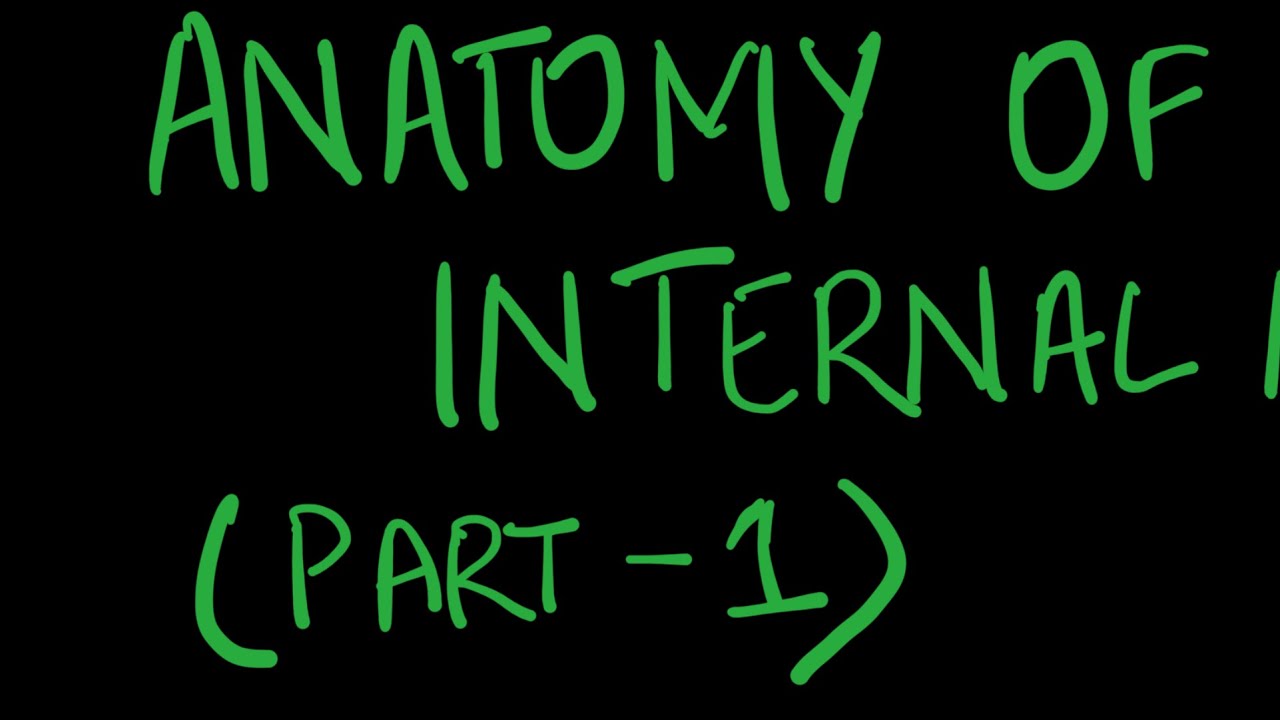 ANATOMY OF INTERNAL NOSE PART 1 | NOSE | ENT | MBBS