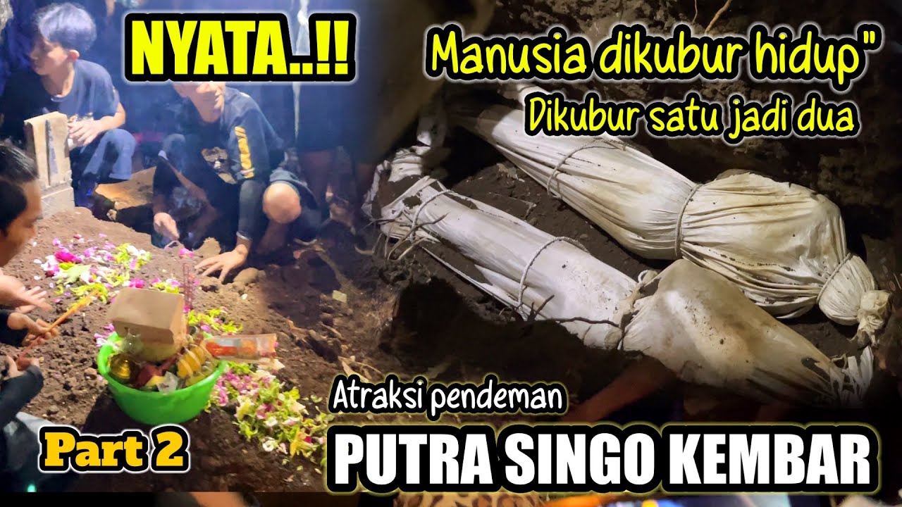 atraksi pencak silat PUTRA SINGO KEMBAR || live ngujung tuyomarto - singosari