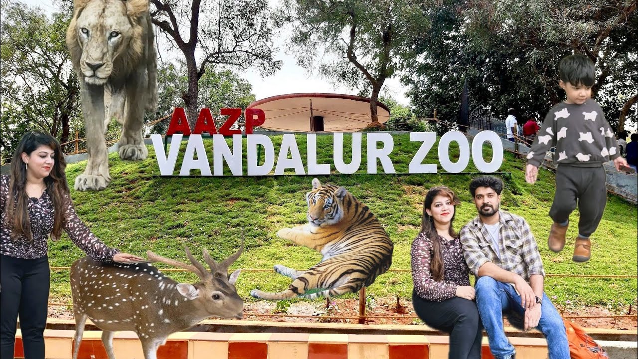 Vandalur Zoo Chennai | Arignar Anna Zoological Park | Cincy Sweety ❤️