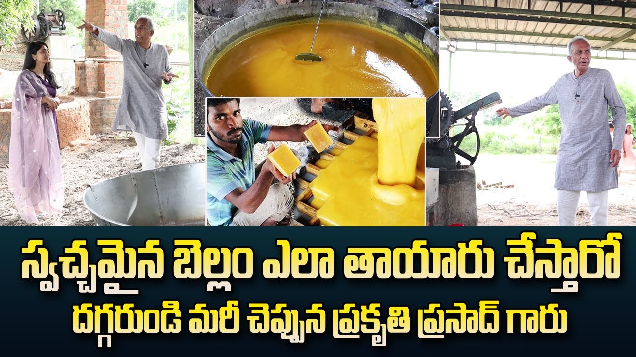 స్వచ్ఛమైన బెల్లం ఎలా చేస్తారో దగ్గరుండి మరీ చెప్పిన ప్రకృతివనం ప్రసాద్ | PRAKRUTHI PRASAD | Jaggery