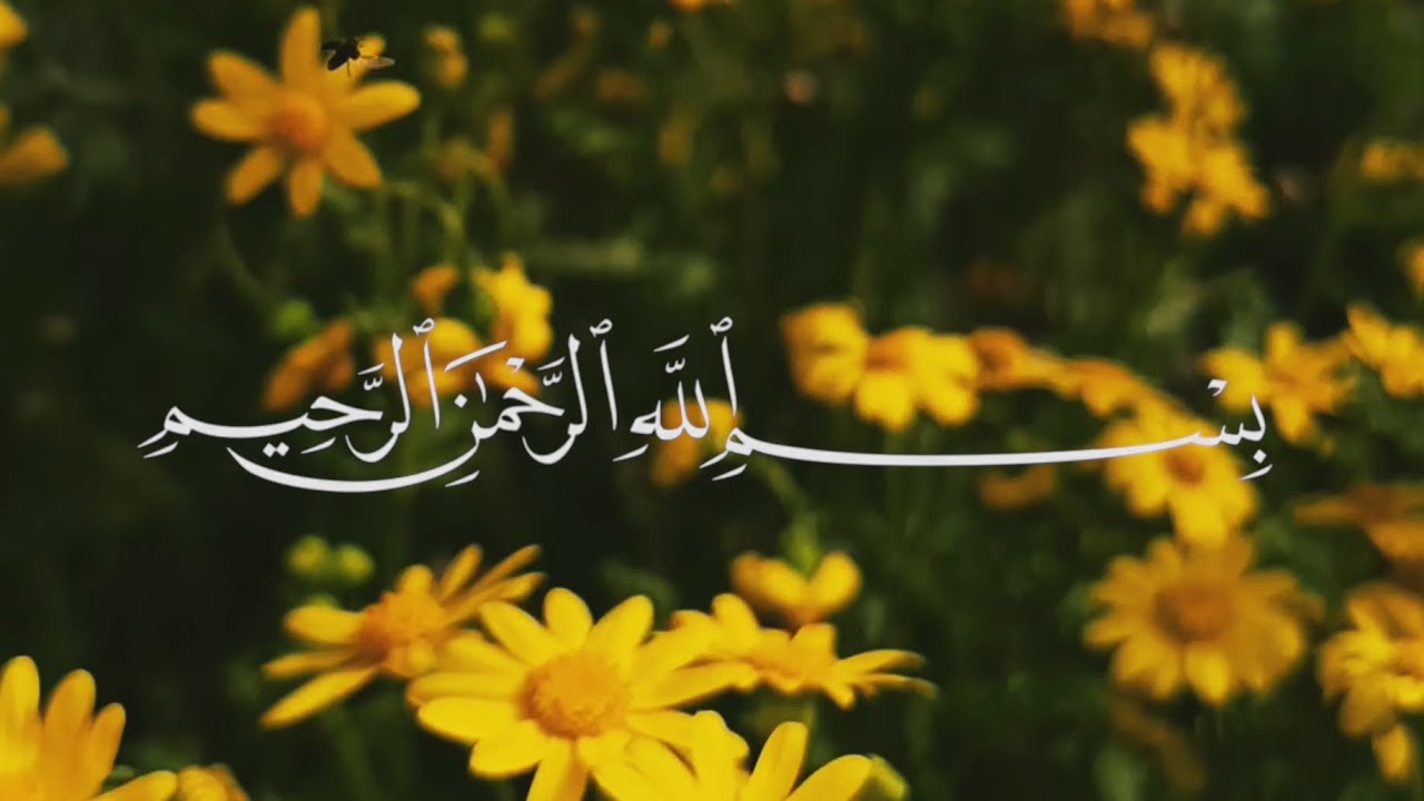 سورة النحل 🌼❤️‍🩹 الشيخ ياسر الدوسري 🤲🏻 #القرآن_الكريم #جبال الساحل ❤️✨