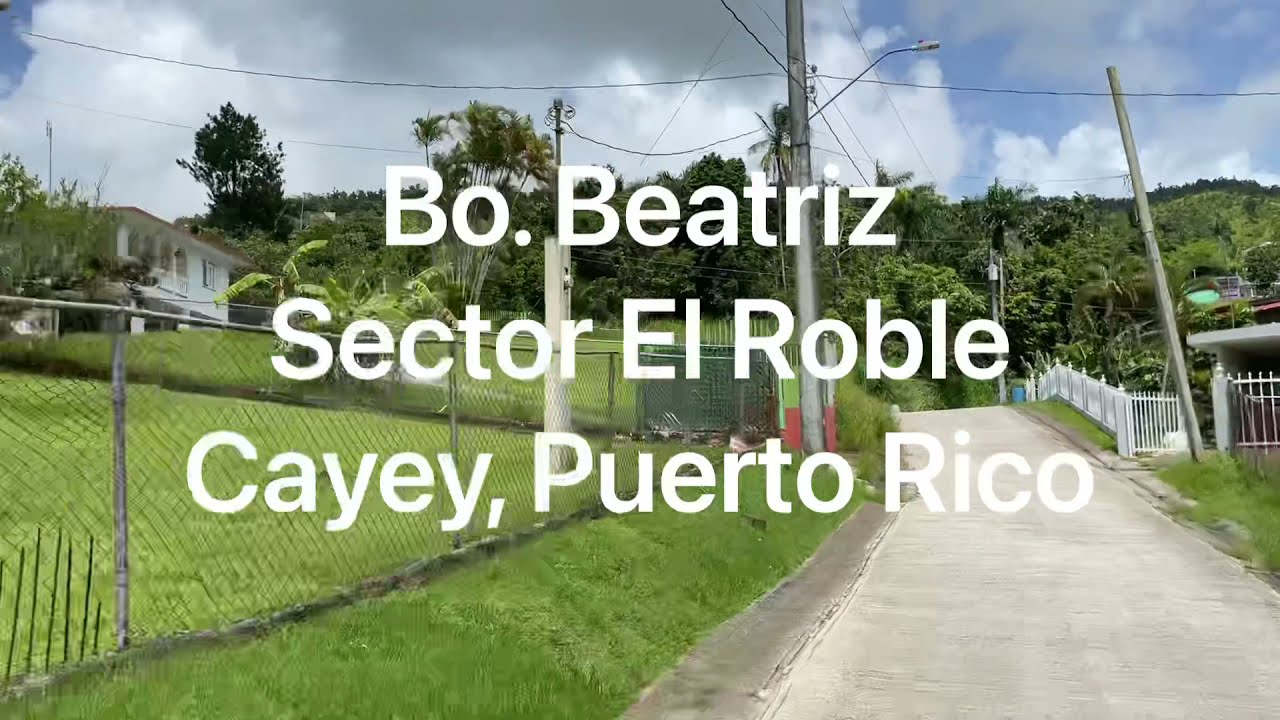 SOLD/Vendida - with 8 acres of land- Bo. Beatriz, Cayey, PR $350,000