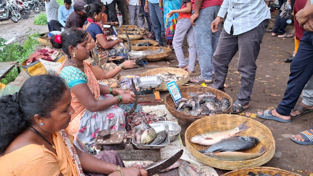 तळेगाव दाभाडे मच्छी मार्केट 🤩जिवंत मासे🐠 शुद्ध भेटतात