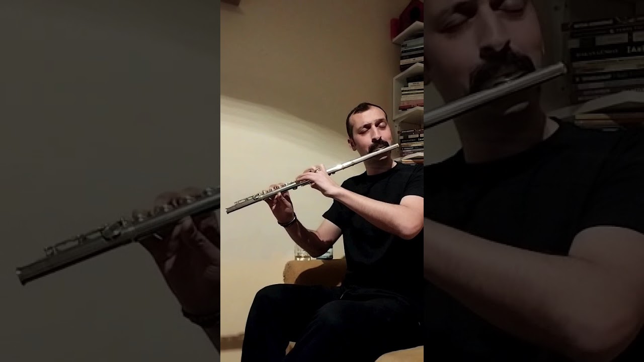 Sarhoş Gibiyim - Erkin KORAY  #shortvideo #shorts #short #erkinkoray #nostalji