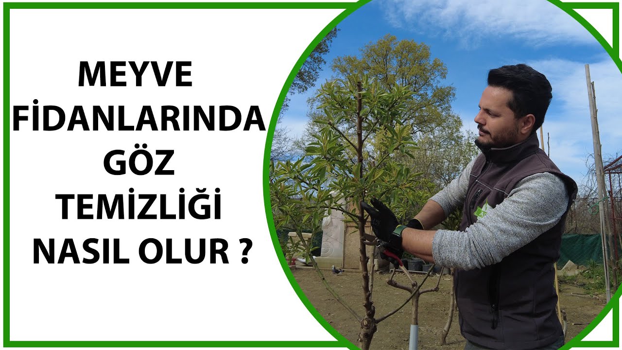 BADEM'DE GÖZ TEMİZLİĞİ NEDEN ÖNEMLİDİR?