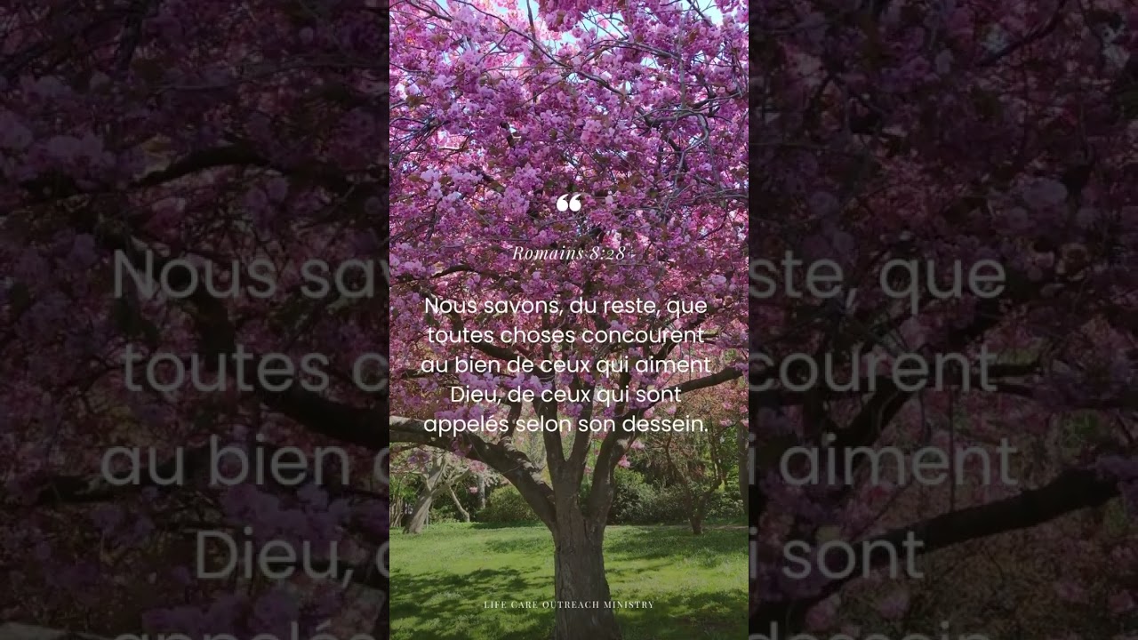 Surmonter les défis