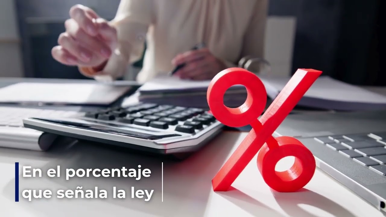 Est&iacute;mulo fiscal de la deducci&oacute;n inmediata