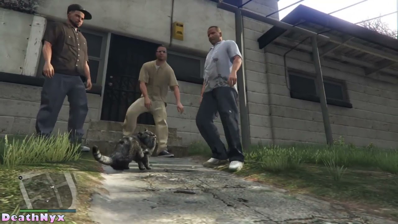 Grand Theft Auto Online - playing as a cat