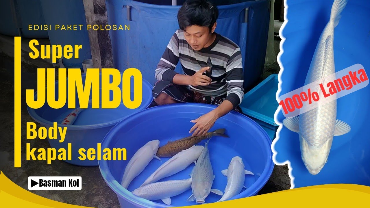Edisi paket POLOSAN Jumbo 50cm, body bulky seperti kapal selam 🥰