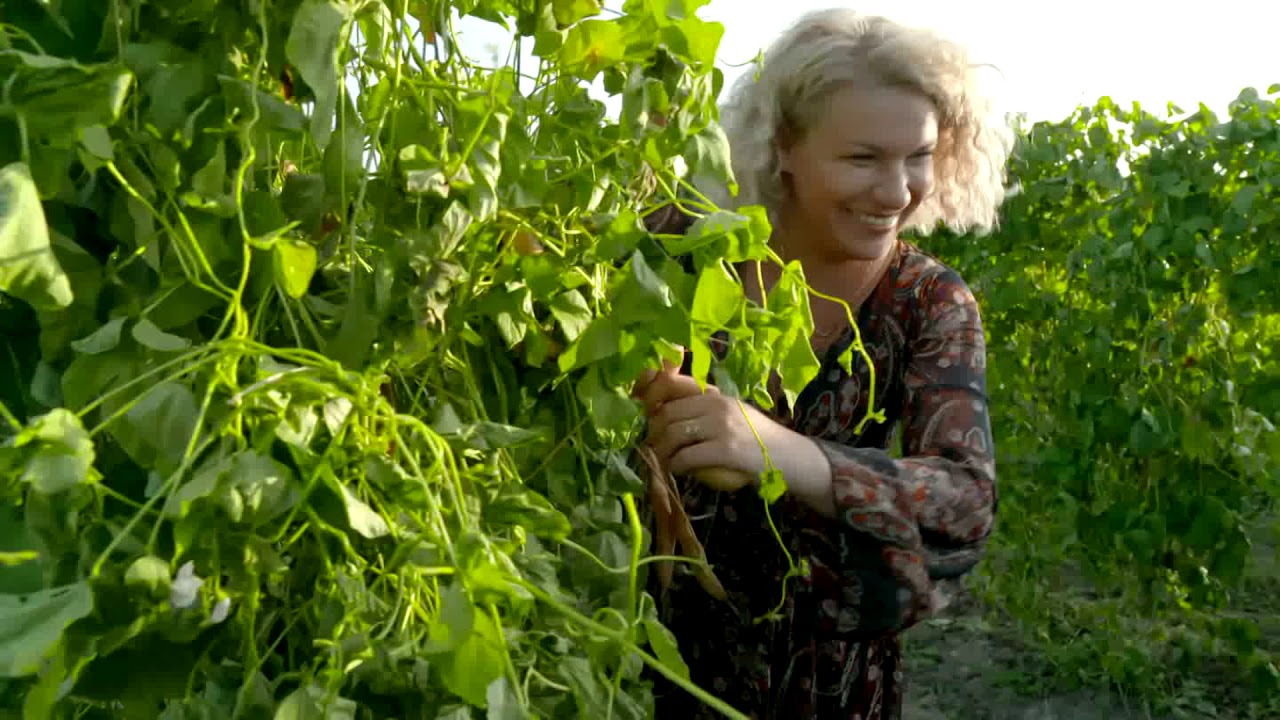 Fasola Piękny Jaś z Doliny Dunajca i wrzawska