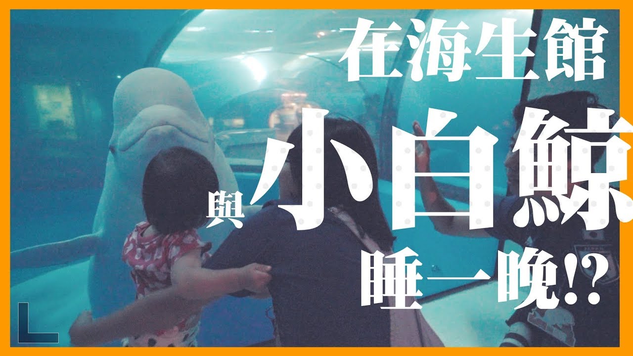 與小白鯨一起睡覺！？ 夜宿屏東海生館 突襲！晚上魚都在做什麼？｜得體夫婦旅遊｜ Pingtung National Museum of Marine Biology