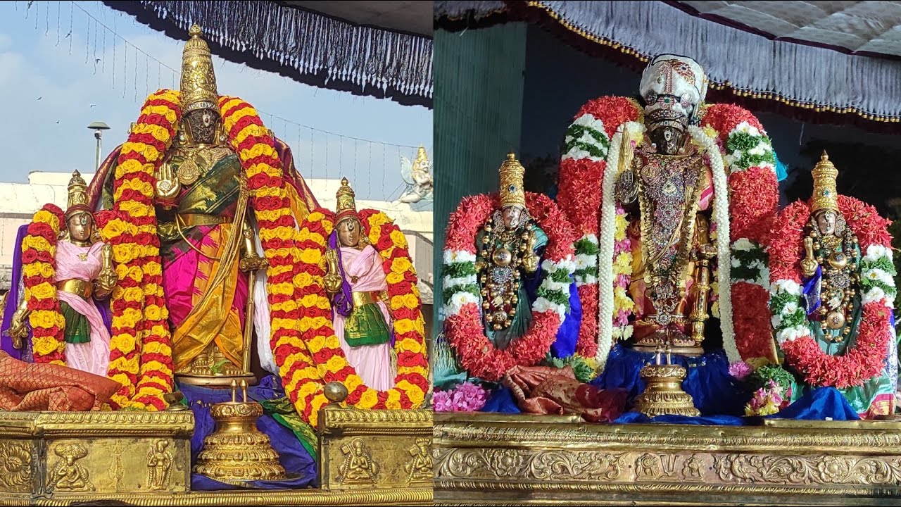 Theppotsavam - 3-Sri Parthasarathy Morning Kulam Purapadu & Evening Theppam & Maada Veedhi Purapadu