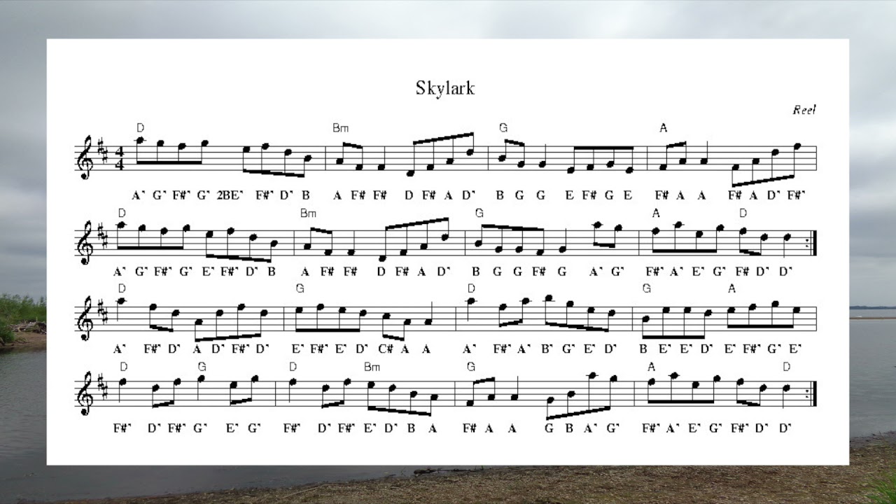 Skylark (Reel) - Play-Along Wednesday