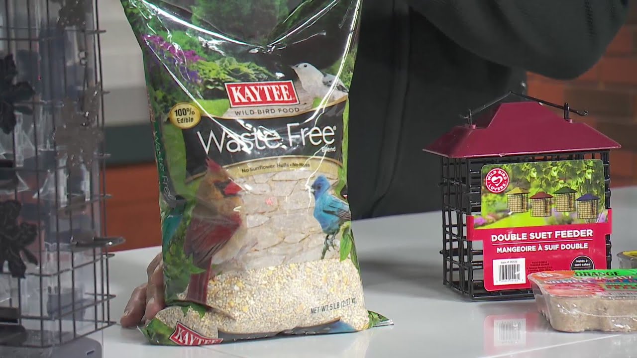Mr. Fix It shares how to set up bird feeders for your backyard