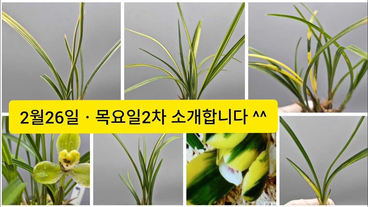2월26일ㆍ2차 소개합니다 ^^