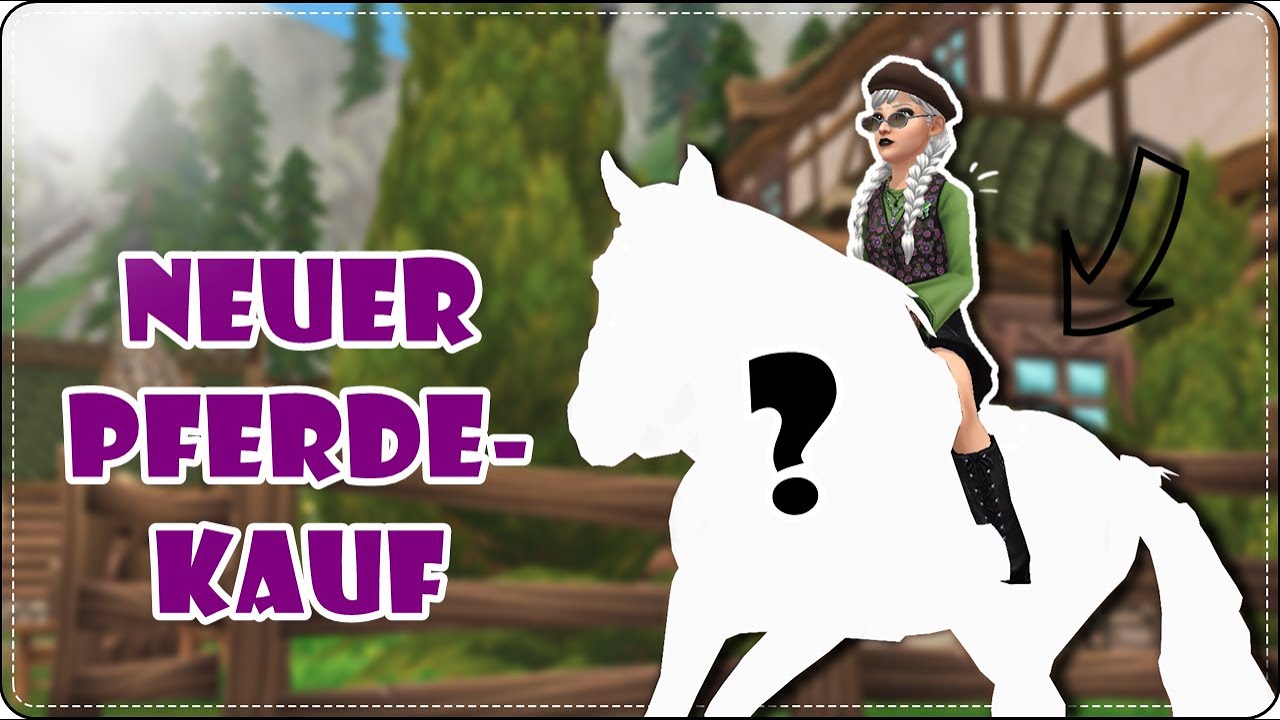 😍 Ich liebe dieses Pferd! - neuer PFERDEKAUF || SSO