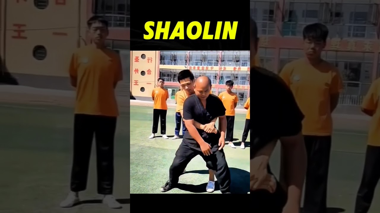 Shaolin Kung Fu Monk Training || Bruce lee Self-Defense Techniques 2024 