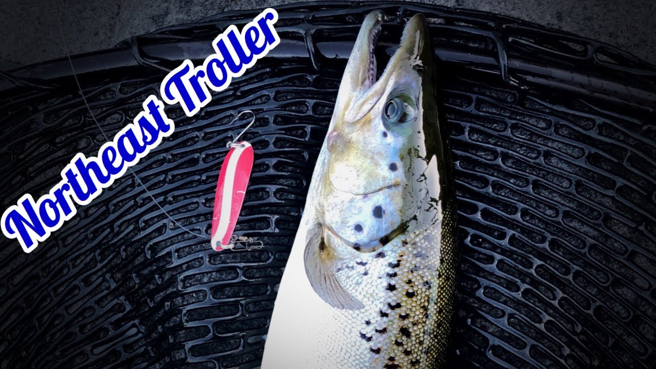 Landlocked Salmon CATCH & COOK - Northeast Troller Spoons