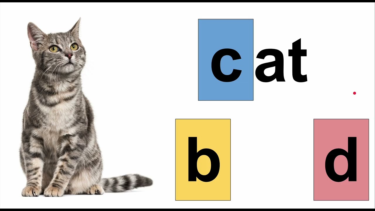 Spelling practice 1 - cat, bag, sad etc.
