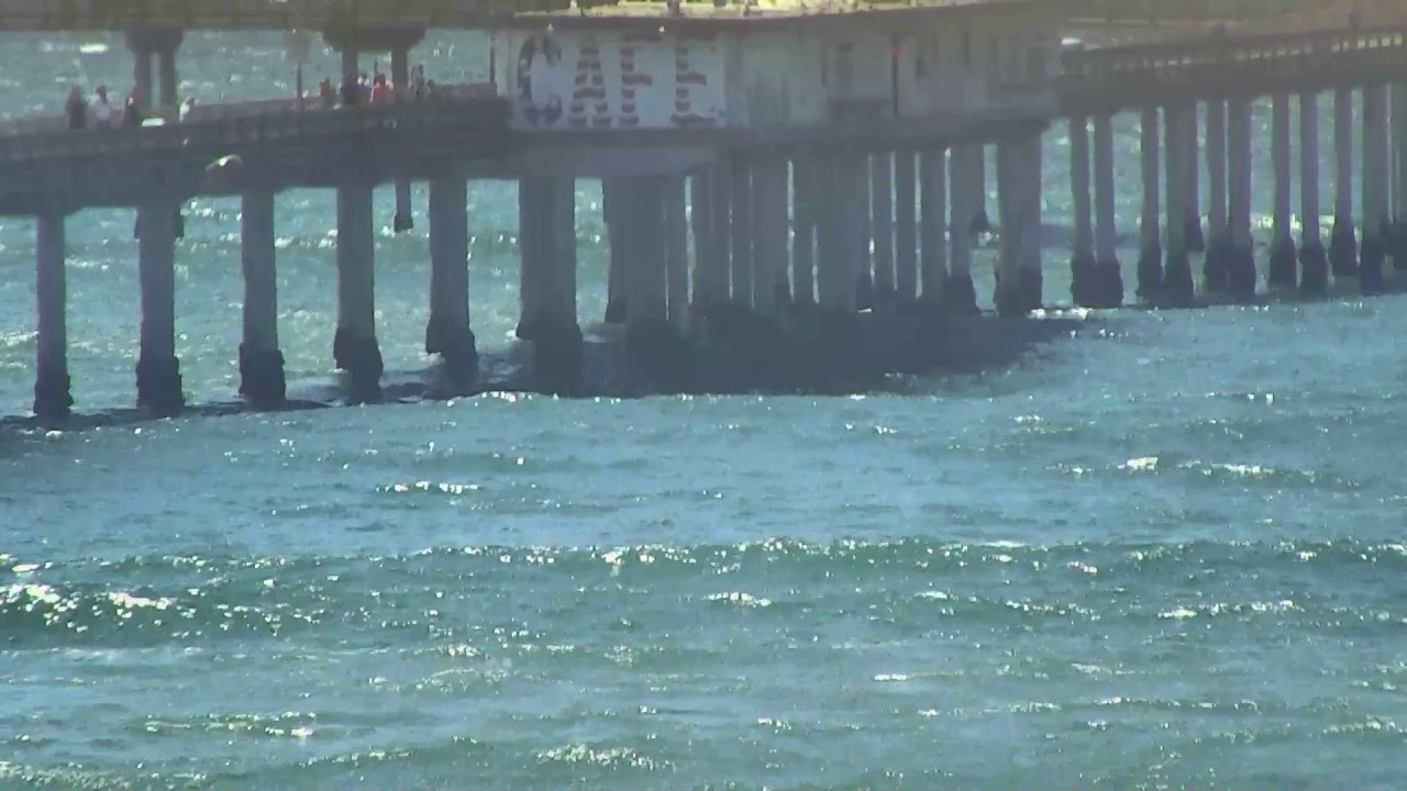 LIVE Webcam at Ocean Beach