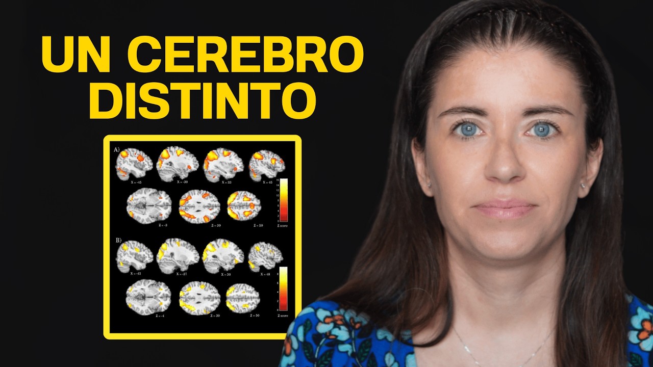 Alta Capacidad: 3 CLAVES con base cerebral, funcional y observable.