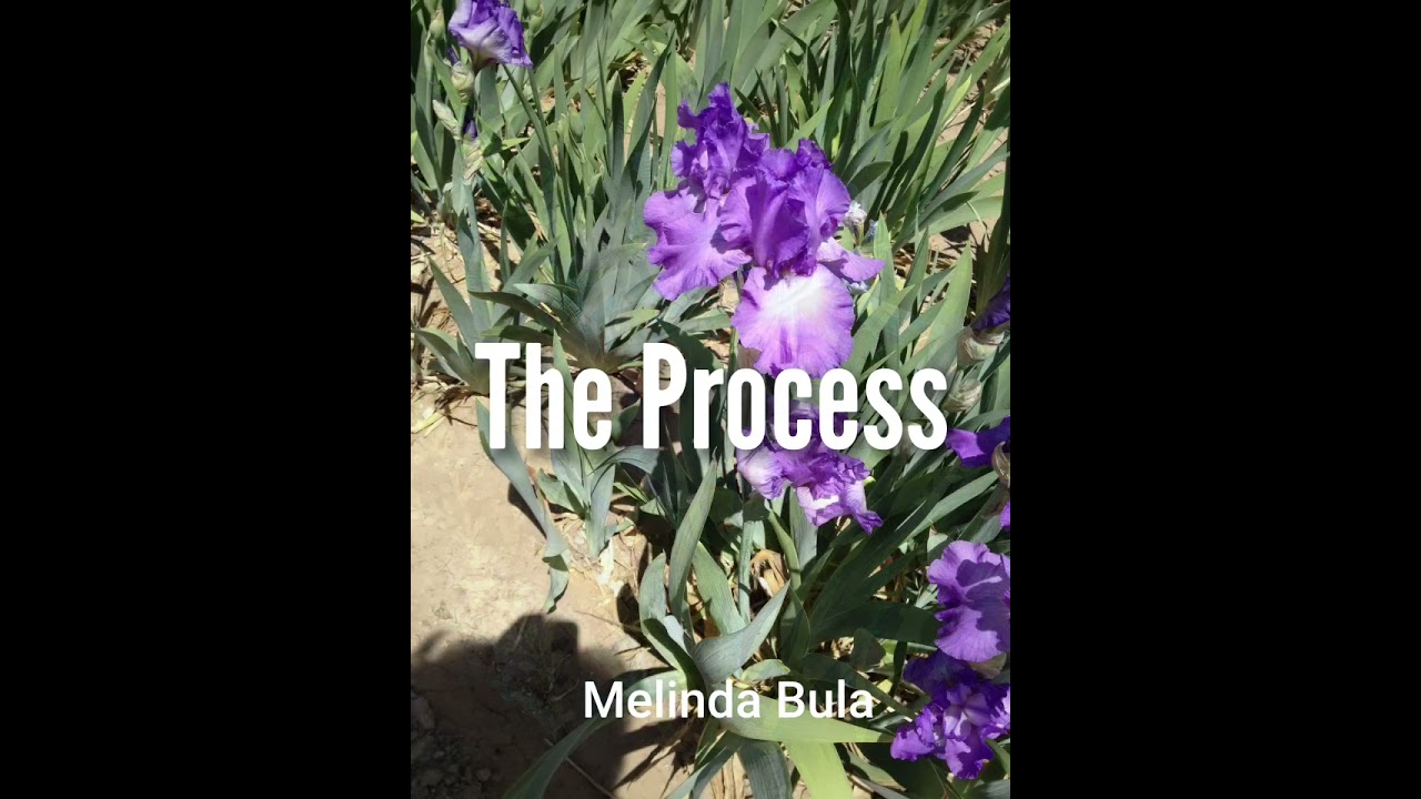 The Process of building the Iris Quilt by Melinda Bula