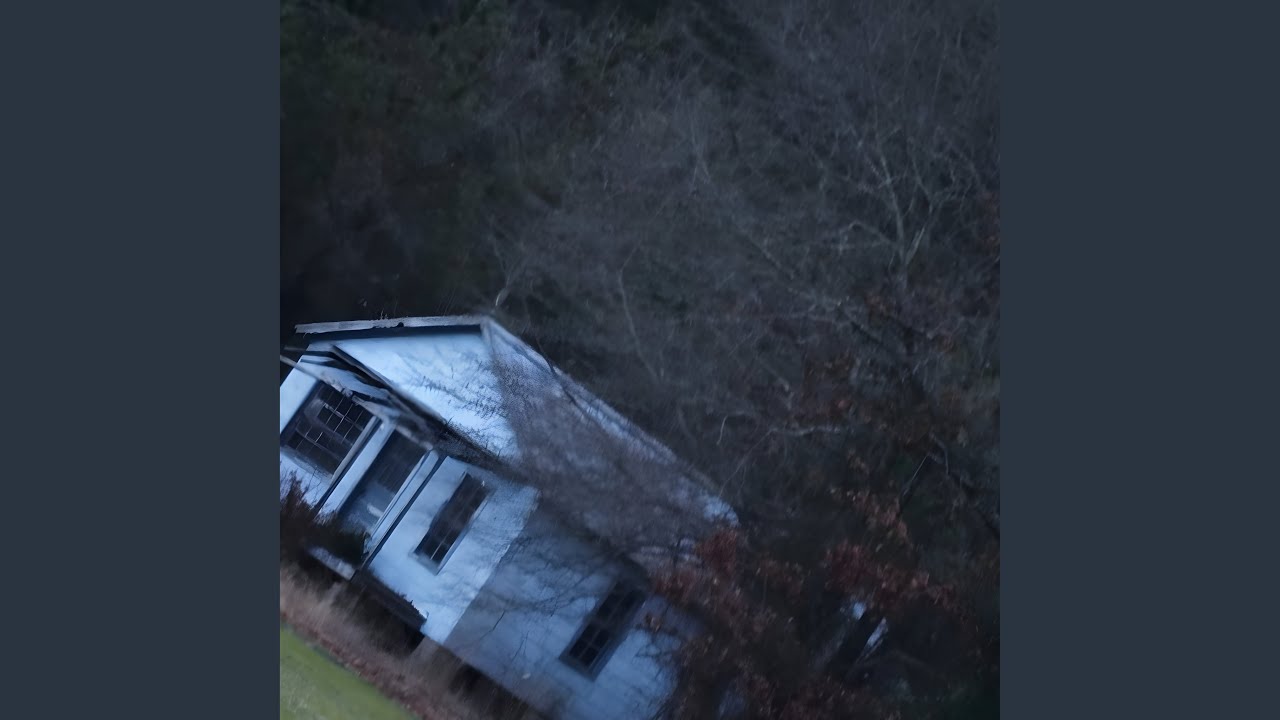 Woods