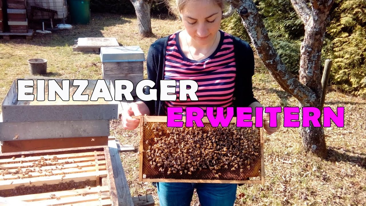 ► Einzarger erweitern im Fr&uuml;hling