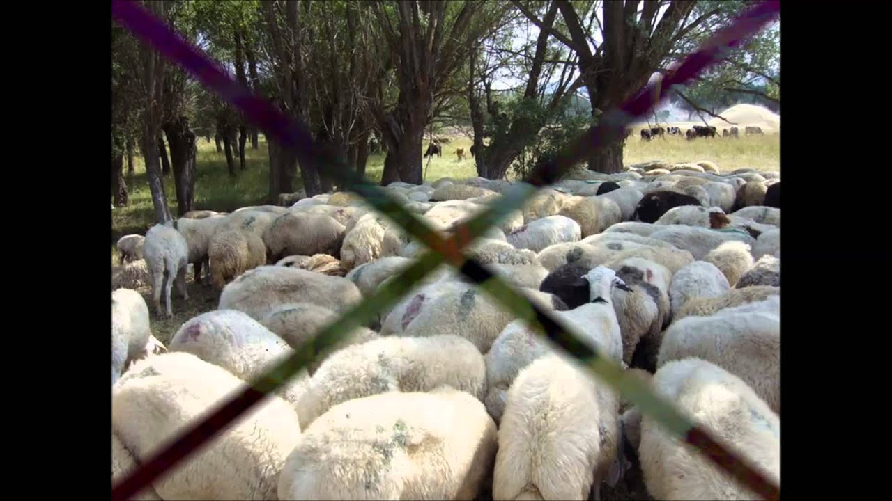 çankırı.orta.dodurga beldesi
