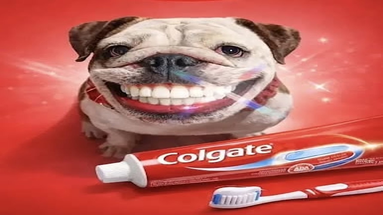 you laugh, you restart (funny videos)